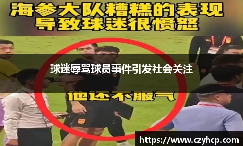 球迷辱骂球员事件引发社会关注